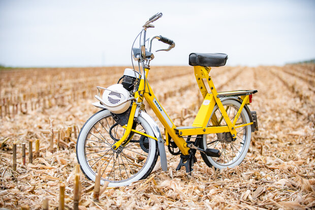 1971 Solex 5000 Jaune